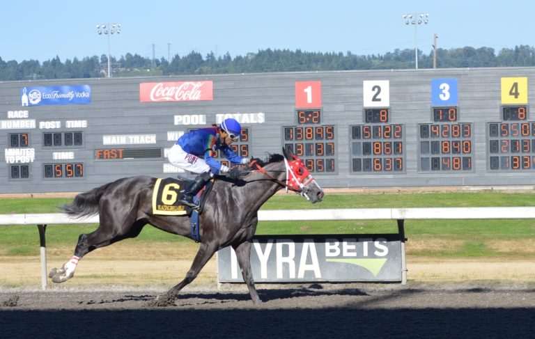Emerald Downs: Week 11 Champs crowned in the Kent & Irish Day Stakes, the Ladies dominate Saturday and some big pays and more
