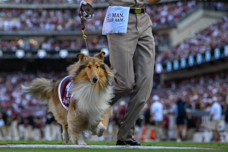 Mandel’s Mailbag: Is Texas A&M elite? Where does Boise State go from here?