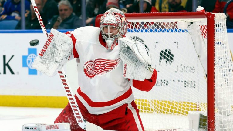 Stock watch: Look to Red Wings for goalie help